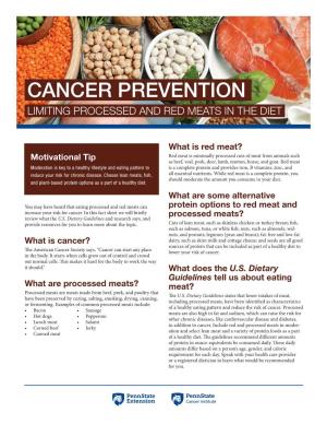 Cancer Prevention Limiting Processed and Red Meats in the Diet