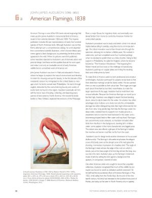 6-A John James Audubon, American Flamingo, 1838