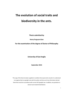 The Evolution of Social Traits and Biodiversity in the Ants