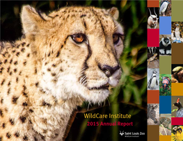 Wildcare Institute 2015 Annual Report Humboldt Penguins Are the Focus of Conservation Work in Peru