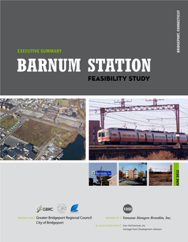 BARNUM STATION Feasibility Study 2013