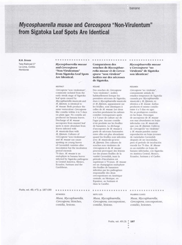 Mycosphaerella Musae and Cercospora "Non-Virulentum" from Sigatoka Leaf Spots Are Identical