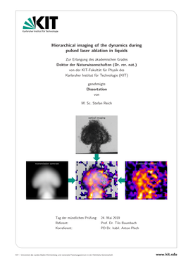 Hierarchical Imaging of the Dynamics During Pulsed Laser Ablation in Liquids