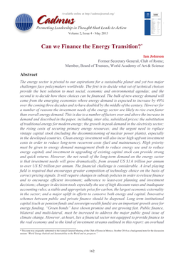 Can We Finance the Energy Transition?*