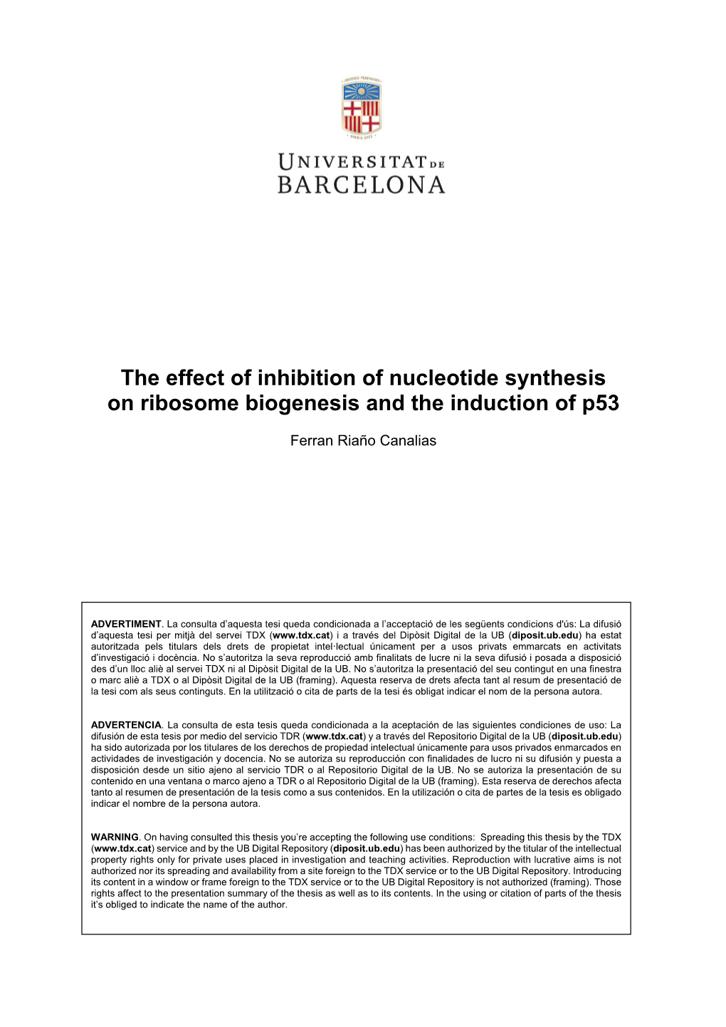 The Effect of Inhibition of Nucleotide Synthesis on Ribosome Biogenesis and the Induction of P53
