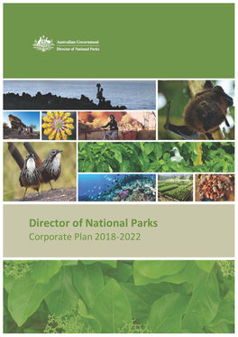 Director of National Parks Corporate Plan 2018–22