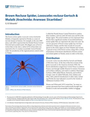 Brown Recluse Spider, Loxosceles Reclusa Gertsch & Mulaik (Arachnida: Araneae: Sicariidae)1 G
