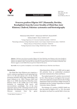 Sivaceros Gradiens Pilgrim 1937 (Mammalia, Bovidae, Boselaphini) from the Lower Siwaliks of Dhok Bun Amir Khatoon, Chakwal, Pakistan: Systematics and Biostratigraphy