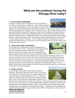 What Are the Problems Facing the Chicago River Today?