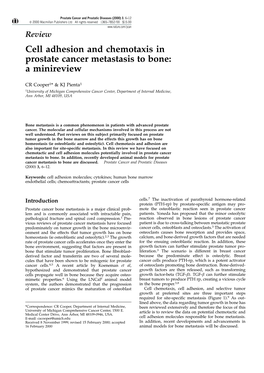 Cell Adhesion and Chemotaxis in Prostate Cancer Metastasis to Bone: a Minireview