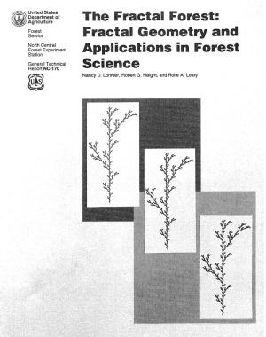 Fractal Geometry and Applications in Forest Science