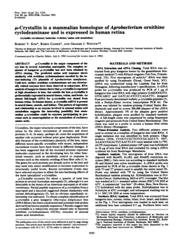U-Crystallin Is a Mammalian Homologue of Agrobacterium