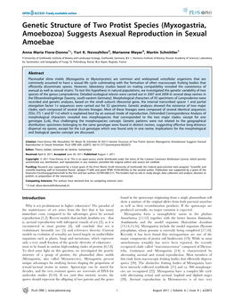 Genetic Structure of Two Protist Species (Myxogastria, Amoebozoa) Suggests Asexual Reproduction in Sexual Amoebae