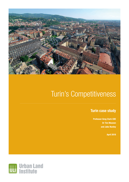 Turin's Competitiveness