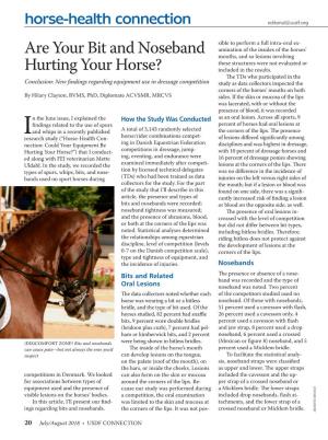Are Your Bit and Noseband Hurting Your Horse?