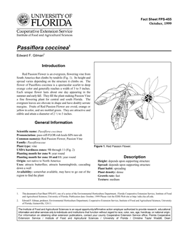Passiflora Coccinea -- Red Passion Flower Page 2