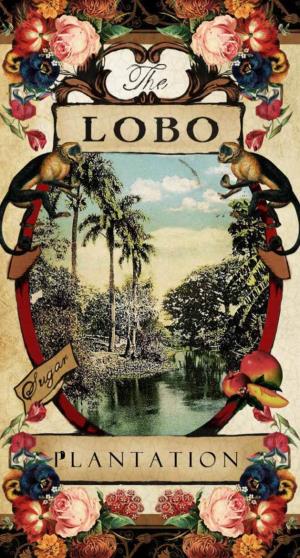 Julio Lobo (1898 — 1983)
