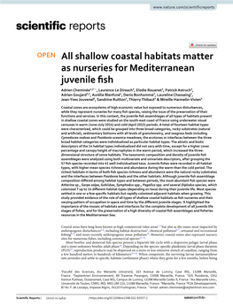 Shallow Coastal Habitats Matter As Nurseries For