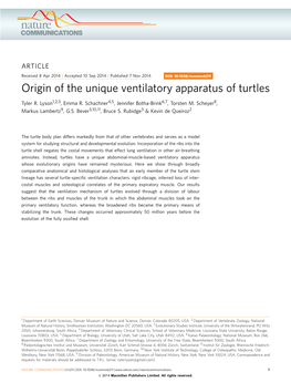 Origin of the Unique Ventilatory Apparatus of Turtles