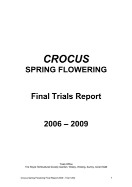 Crocus Spring Flowering