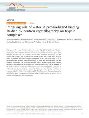 Intriguing Role of Water in Protein-Ligand Binding Studied by Neutron Crystallography on Trypsin Complexes