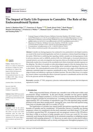 The Role of the Endocannabinoid System