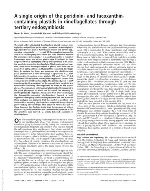 A Single Origin of the Peridinin- and Fucoxanthin- Containing Plastids in Dinoflagellates Through Tertiary Endosymbiosis