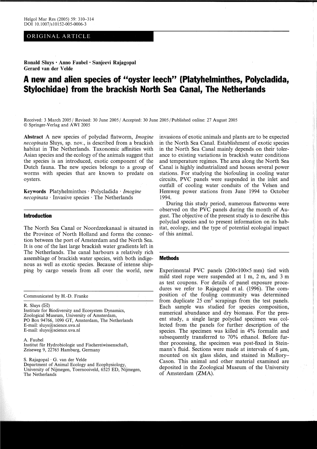 Platyhelminthes, Polycladida, Stylochidae) from the Brackish North Sea Canal, the Netherlands