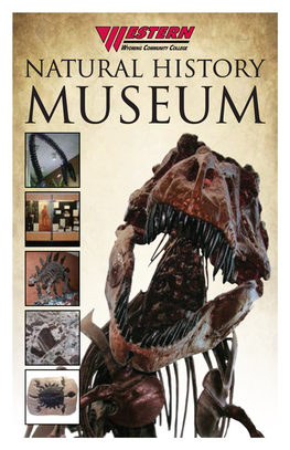 Museum's Brochure Here