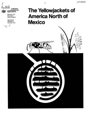 The Yellowjackets of America North of Mexico
