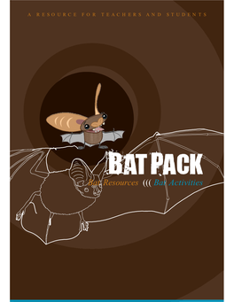 Bat Resources ((( Bat Activities