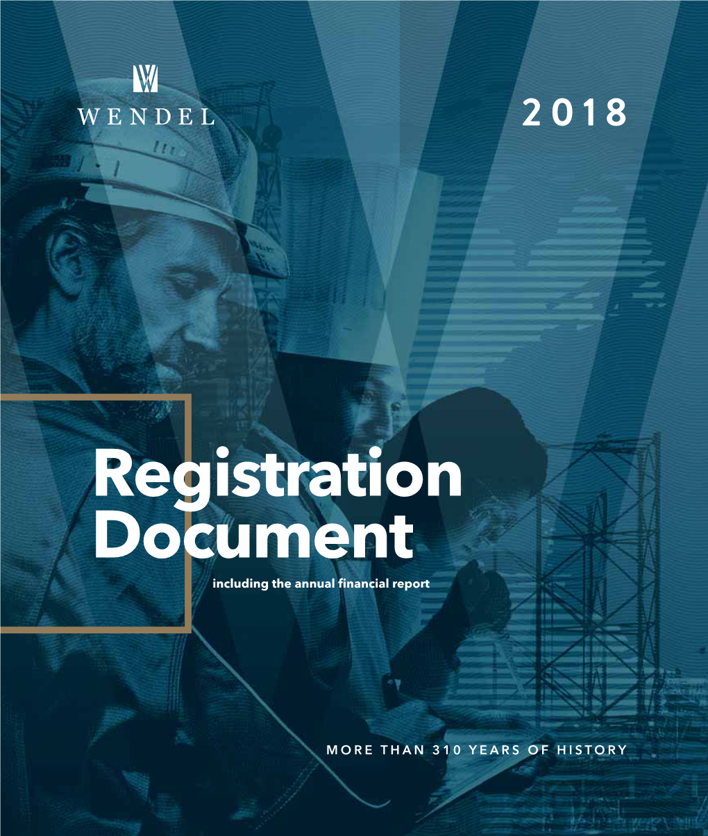 Registration Document 2018