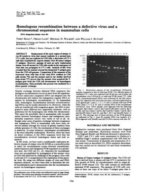 Homologous Recombination Between a Defective Virus and a Chromosomal Sequence in Mammalian Cells (DNA Integation/Simian Virus 40) YOSEF SHAUL*, ORGAD Laubt, MICHAEL D