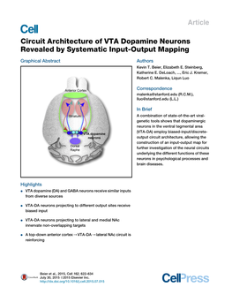 Circuit Architecture of VTA Dopamine Neurons Revealed by Systematic Input-Output Mapping