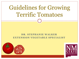 Tomato Gardening