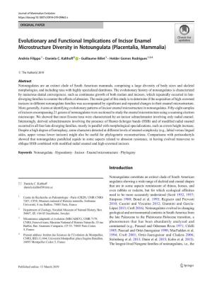 Evolutionary and Functional Implications of Incisor Enamel Microstructure Diversity in Notoungulata (Placentalia, Mammalia)