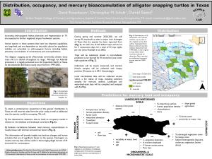 Distribution, Occupancy, and Mercury Load in Texas Alligator Snapping