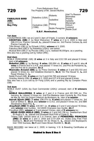 From Ballyduane Stud the Property of Mr. Gerard Mullins Roberto