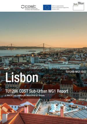 TU1206 COST Sub-Urban WG1 Report C