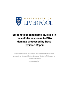 Epigenetic Mechanisms Involved in the Cellular Response to DNA Damage Processed by Base Excision Repair