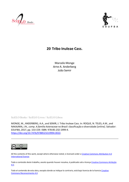 20 Tribo Inuleae Cass