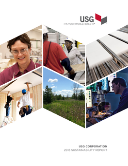 2016 Sustainability Report About Usg