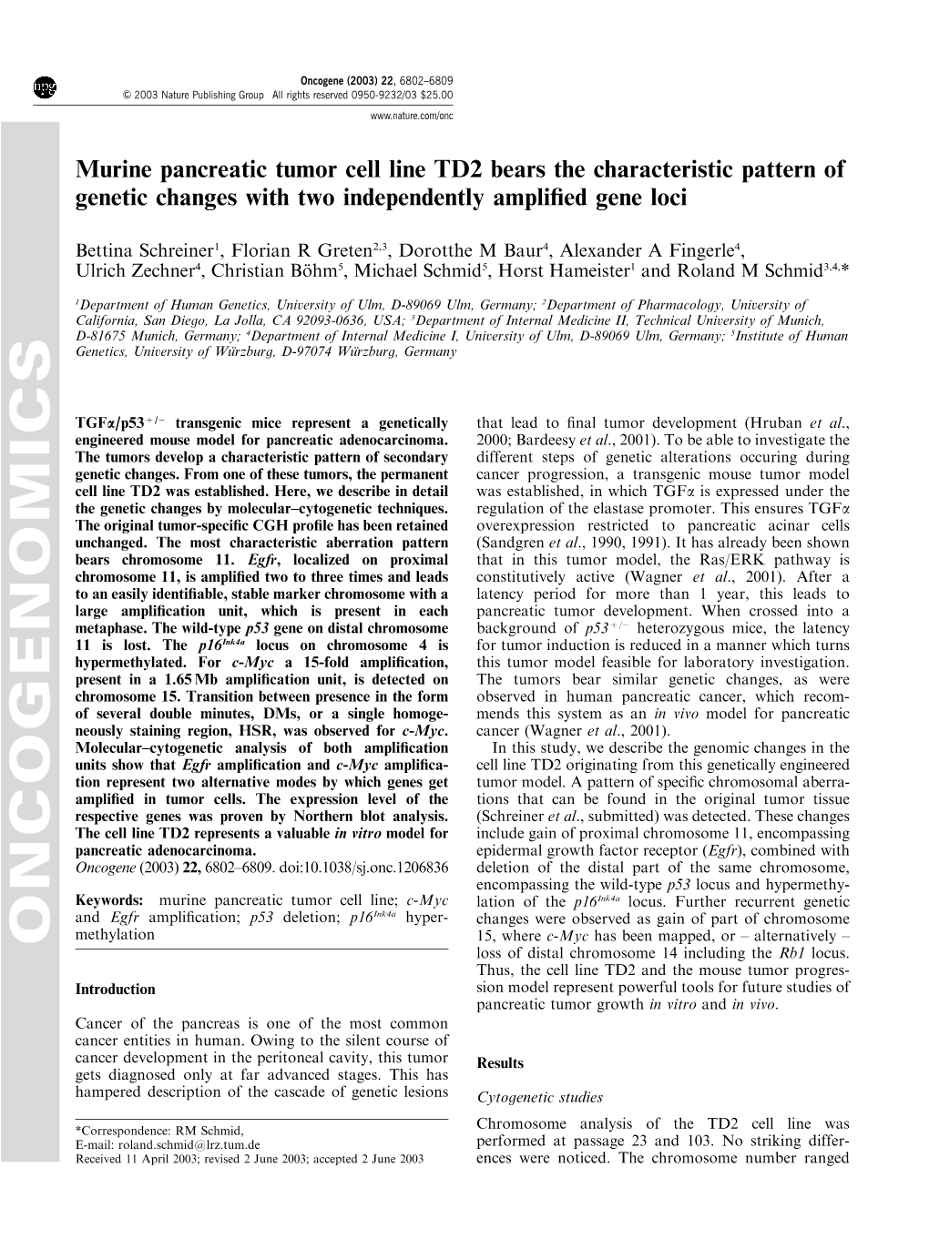 Murine Pancreatic Tumor Cell Line TD2 Bears the Characteristic Pattern of Genetic Changes with Two Independently Amplified Gene Loci