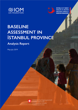 Baseline Assessment for Istanbul Province