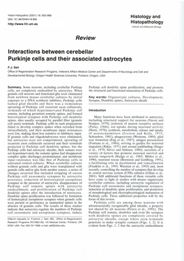 Lnteractions Between Cerebellar Purkinje Cells and Their Associated