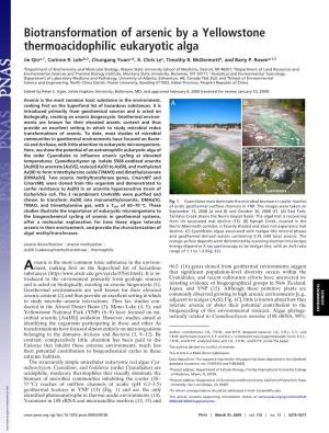 Biotransformation of Arsenic by a Yellowstone Thermoacidophilic Eukaryotic Alga