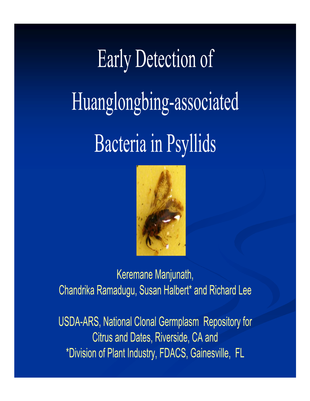Early Detection of Huanglongbing-Associated Bacteria in Psyllids