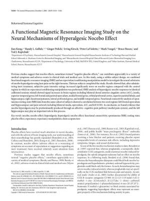 A Functional Magnetic Resonance Imaging Study on the Neural Mechanisms of Hyperalgesic Nocebo Effect