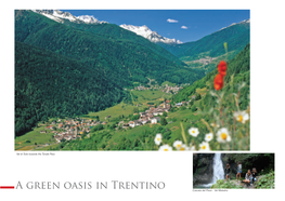 A Green Oasis in Trentino