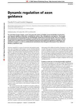 Dynamic Regulation of Axon Guidance